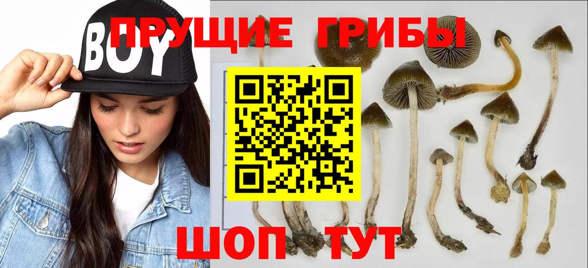 Галлюциногенные грибы Magic Shrooms  Вход с VPN  Каспийск  Галлюциногенные грибы мухоморы 